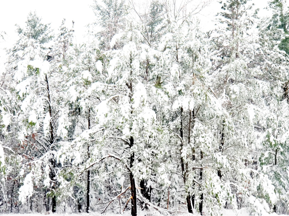 April Snow at Fort McCoy