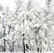 April Snow at Fort McCoy