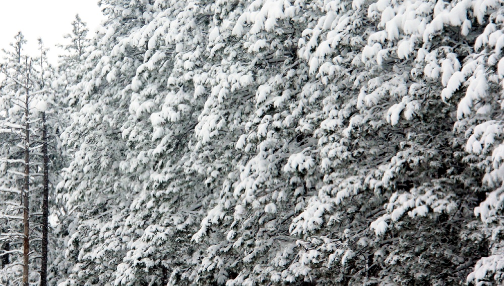 April Snow at Fort McCoy