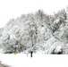 April Snow at Fort McCoy