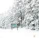 April Snow at Fort McCoy