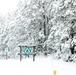 April Snow at Fort McCoy