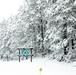 April Snow at Fort McCoy