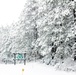 April Snow at Fort McCoy