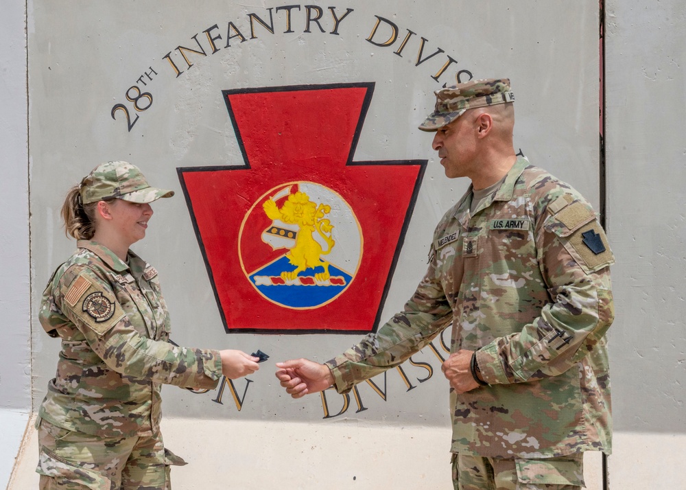 When a U.S. Army emblem becomes a U.S. Air Force work of art