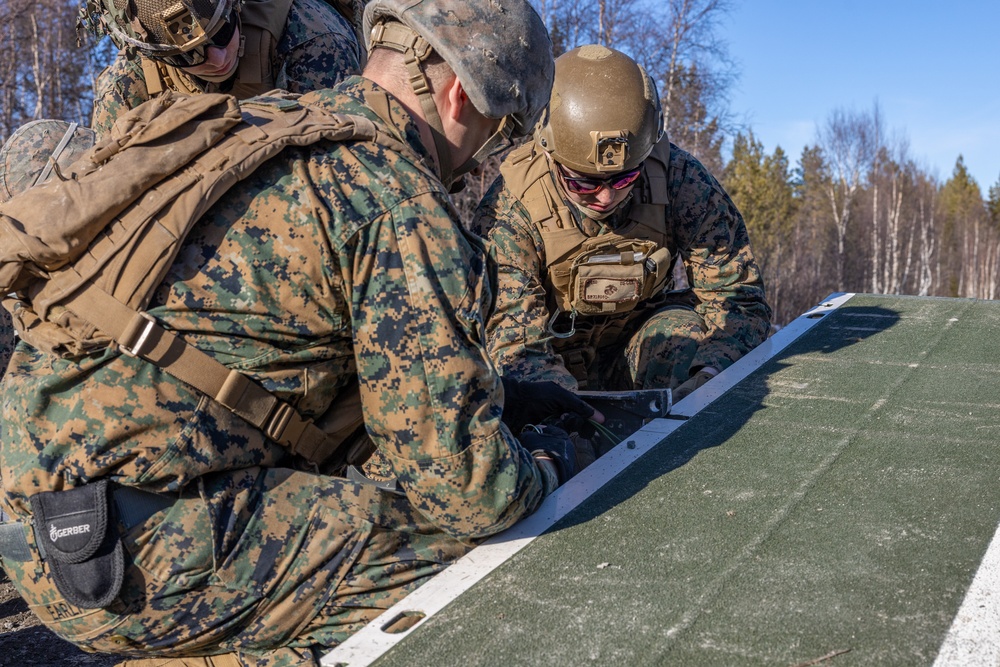 MRF-E 23.1 Viper Bridge Training