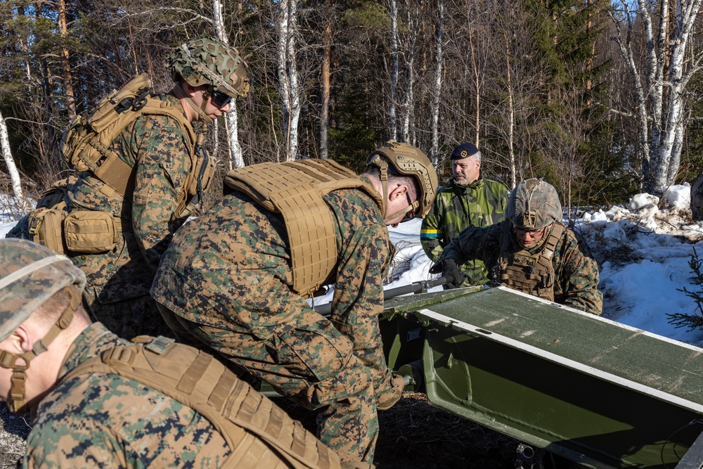 MRF-E 23.1 Viper Bridge Training