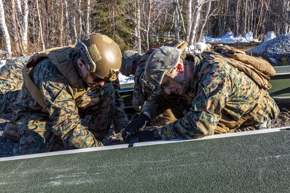 MRF-E 23.1 Viper Bridge Training