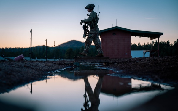 Exercise Furious Alpaca: Day 1