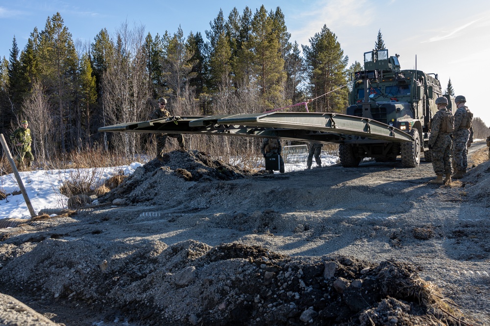 MRF-E 23.1 Viper Bridge Training