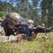 Rounds Down Range