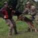 Headline: Balikatan 23 | AFP, U.S. forces share K9 capabilities during bilateral exchange