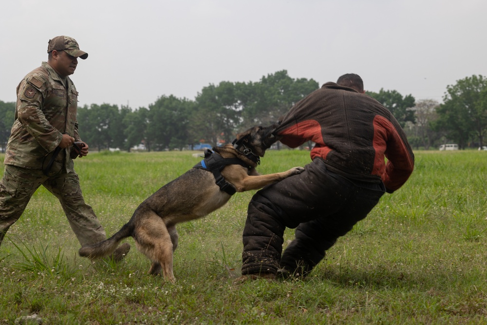 Headline: Balikatan 23 | AFP, U.S. forces share K9 capabilities during bilateral exchange