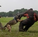 Headline: Balikatan 23 | AFP, U.S. forces share K9 capabilities during bilateral exchange