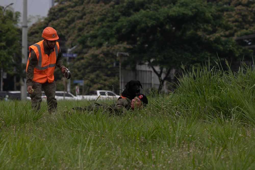 Balikatan 23 | AFP, U.S. forces share K9 capabilities during bilateral exchange