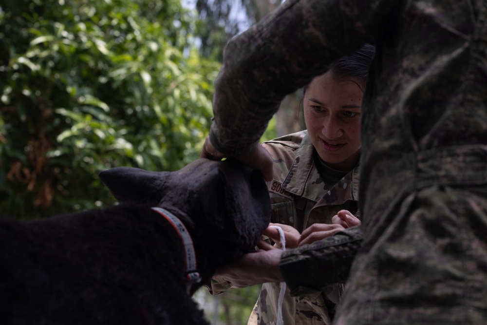 Balikatan 23 | AFP, U.S. forces share K9 capabilities during bilateral exchange