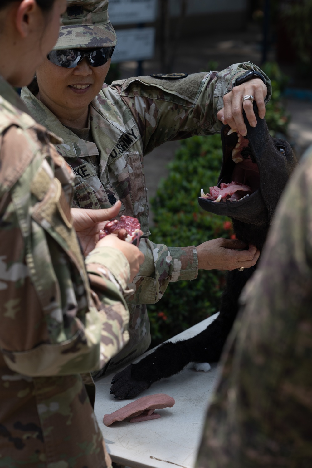 Balikatan 23 | AFP, U.S. forces share K9 capabilities during bilateral exchange