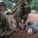 Pa. Army Guard Best Warrior Competition tests Soldiers