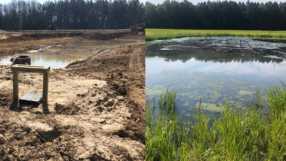 Cedar Point Wildlife Management Area Before and After NAVFAC Washington Intervention