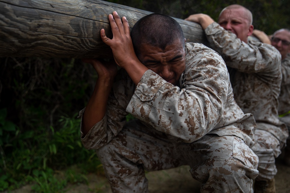 Bravo Company Log Drills