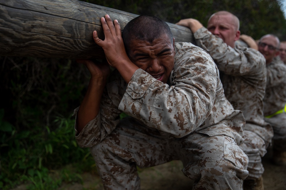 Bravo Company Log Drills