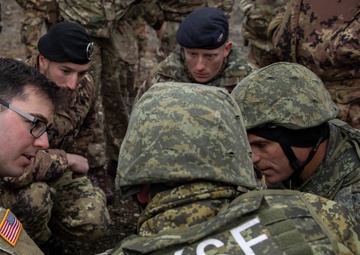 High Risk, High Reward