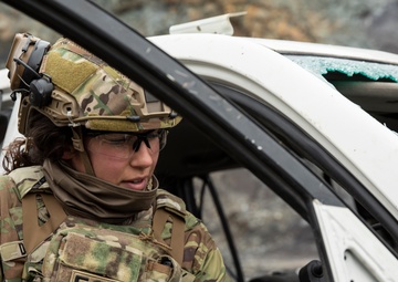 High Risk, High Reward