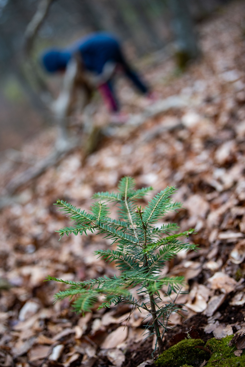 RAB youths give green thumbs-up for Earth Week