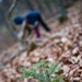 RAB youths give green thumbs-up for Earth Week