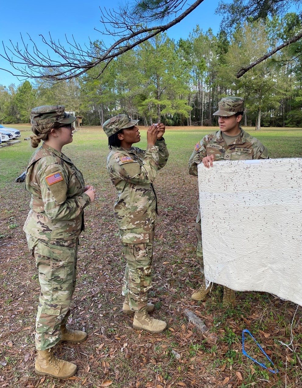 NECE Teams Up with Army Veterinarians to “Bite Back” Against Tick-Borne Disease