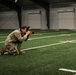 Iowa National Guard Best Warrior Competition