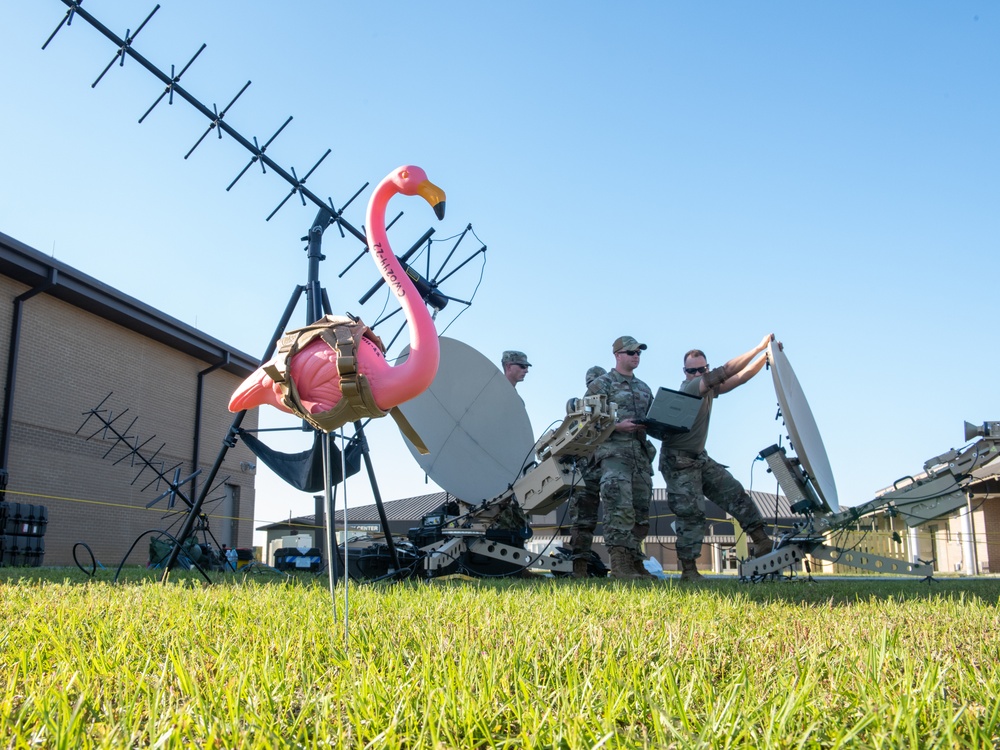 Pink &quot;Floyd&quot; Flamingo and Wingman