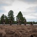 Luke EOD trains at Camp Navajo: Day 3