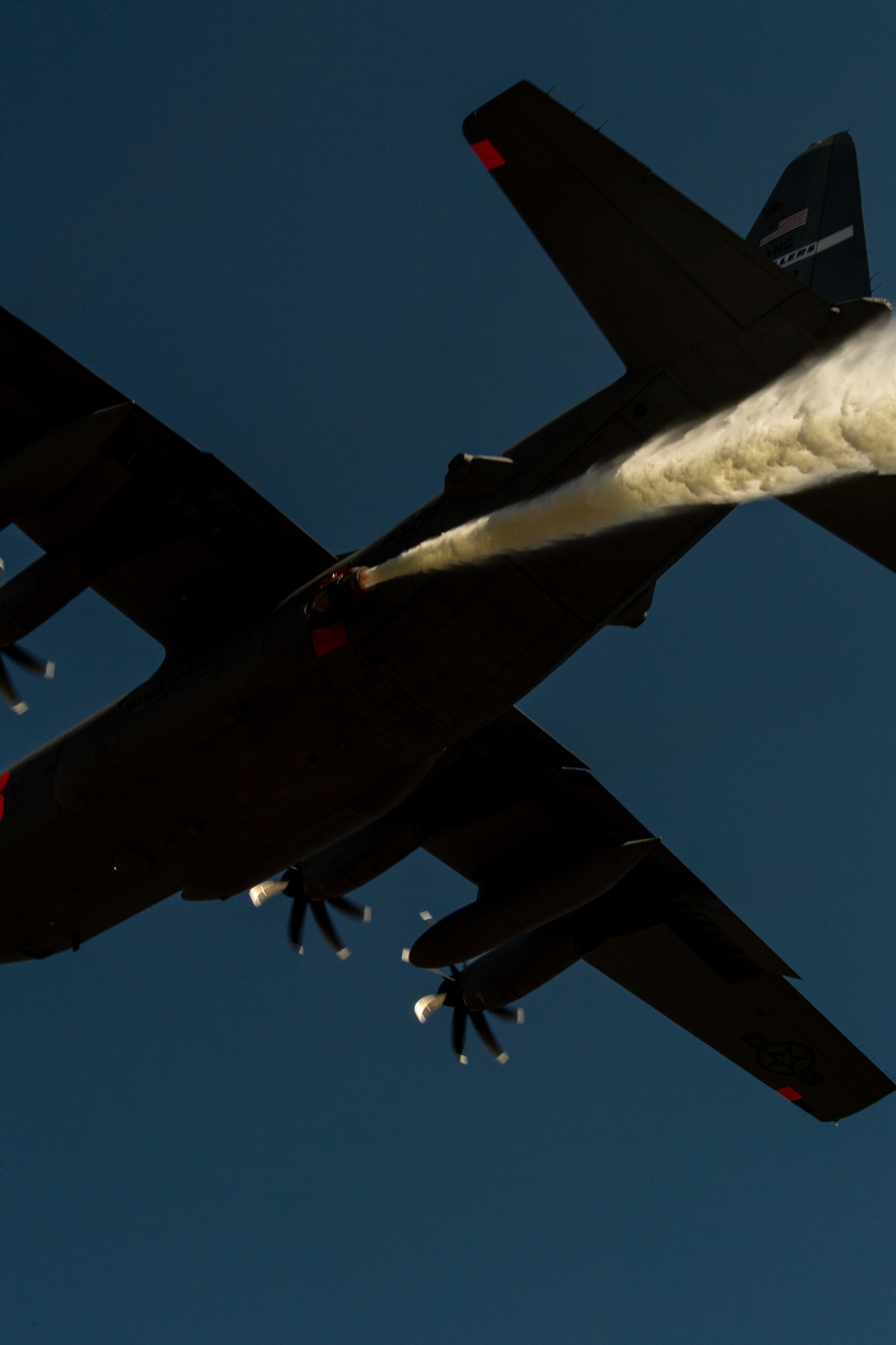 146th Airlift Wing hosts Nevada and Wyoming Air National Guard aerial wildfire training