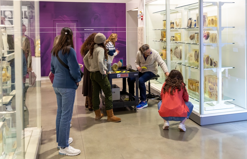 Brain Awareness Day 2023