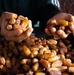 A date vendor in Sebha, Libya shows his prized dates.