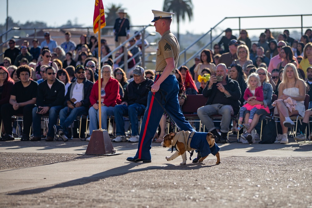 MCRD San Diego Mascot Relief and Appointment