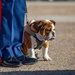 MCRD San Diego Mascot Relief and Appointment