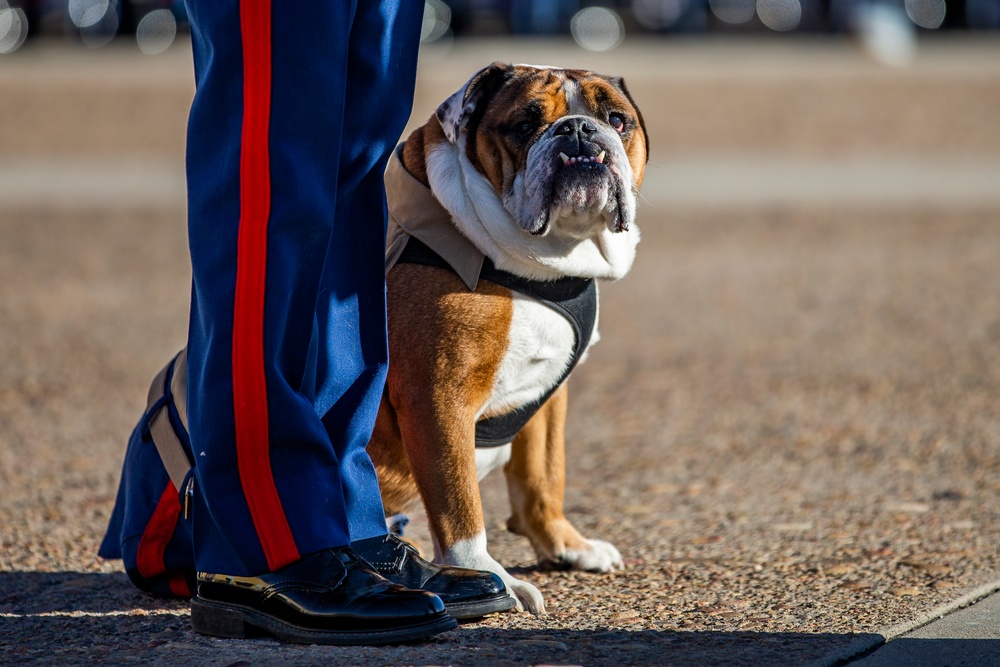 MCRD San Diego Mascot Relief and Appointment