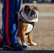 MCRD San Diego Mascot Relief and Appointment