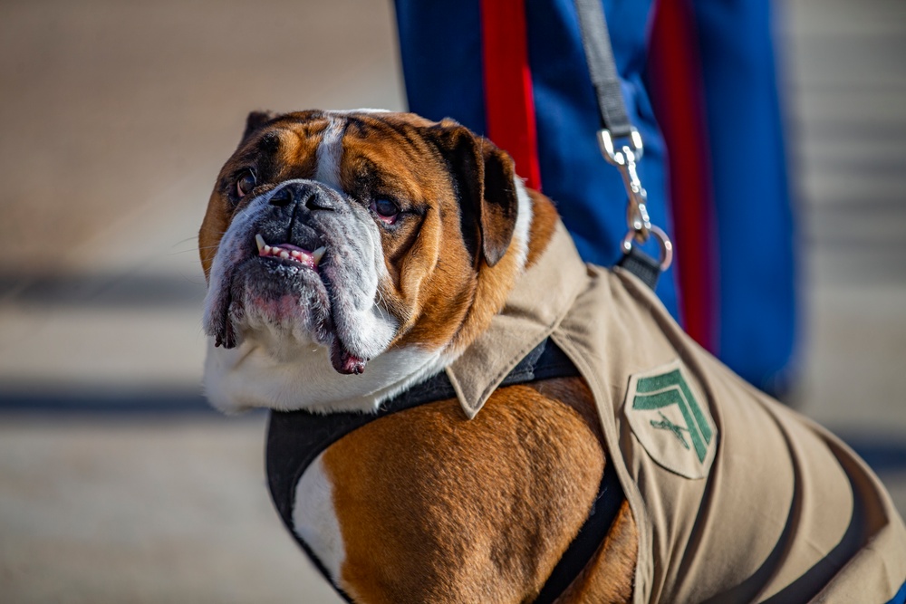 MCRD San Diego Mascot Relief and Appointment