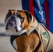 MCRD San Diego Mascot Relief and Appointment