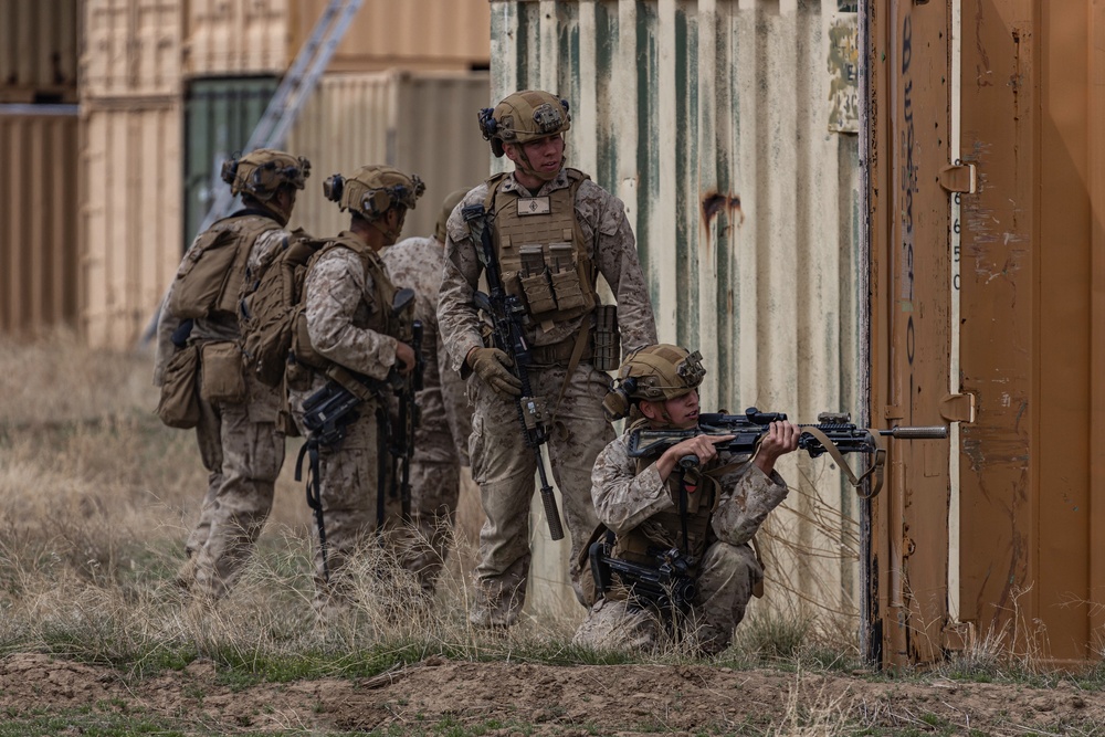Exercise Garnet Rattler: Marines coordinate close air support