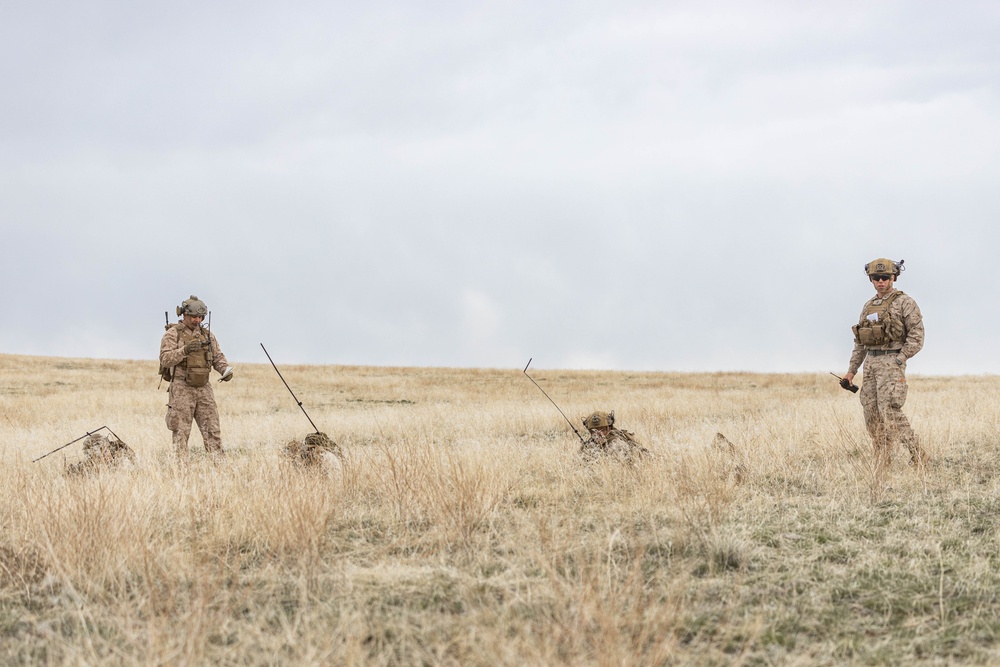 Exercise Garnet Rattler: Marines coordinate close air support
