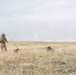 Exercise Garnet Rattler: Marines coordinate close air support