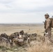 Exercise Garnet Rattler: Marines coordinate close air support