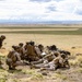 Exercise Garnet Rattler: Marines conduct urban assault at Saylor Creek Range