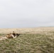 Exercise Garnet Rattler: Marines coordinate close air support
