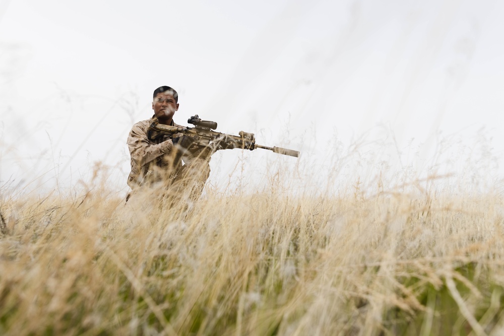 Exercise Garnet Rattler: Marines coordinate close air support