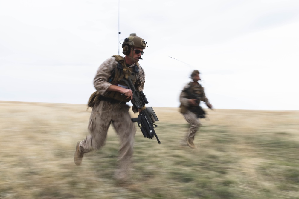 Exercise Garnet Rattler: Marines coordinate close air support